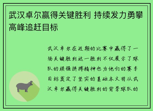 武汉卓尔赢得关键胜利 持续发力勇攀高峰追赶目标